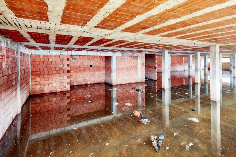 Basement Water Mitigation in Phoenix, AZ