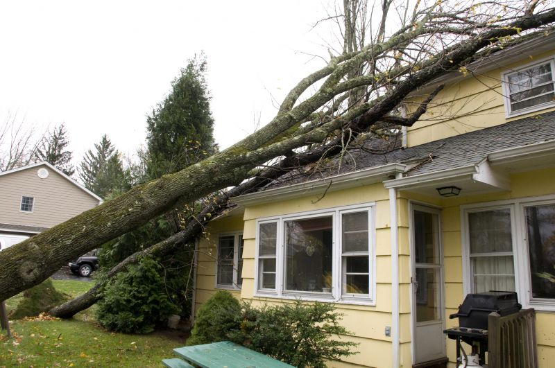 Storm Damage Mitigation in Phoenix, AZ