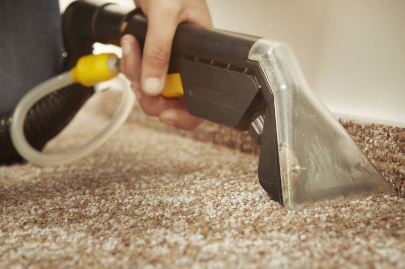 Wet Carpet Restoration in Santa Rosa, CA