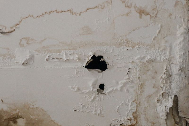 Mold Prevention